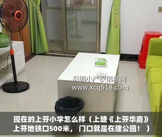 现在的上芬小学怎么样（上塘《上芬华庭》上芬地铁口500米， 门口就是在建公园！ ）小产权改名费怎么算，
