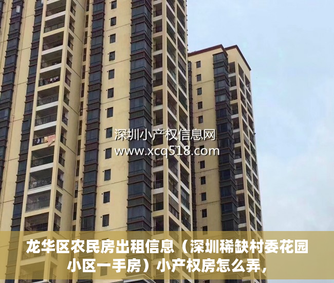 龙华区农民房出租信息（深圳稀缺村委花园小区一手房）小产权房怎么弄，