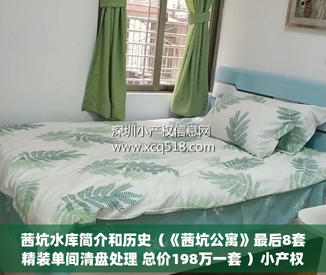 茜坑水库简介和历史（《茜坑公寓》最后8套精装单间清盘处理 总价198万一套 ）小产权的房贷可以办多久的，