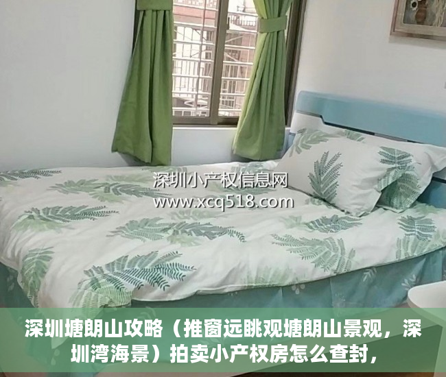 深圳塘朗山攻略（推窗远眺观塘朗山景观，深圳湾海景）拍卖小产权房怎么查封，