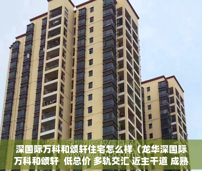 深国际万科和颂轩住宅怎么样（龙华深国际万科和颂轩  低总价 多轨交汇 近主干道 成熟 ）小产权房产证怎么办视频，