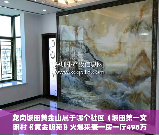 龙岗坂田黄金山属于哪个社区（坂田第一文明村《黄金明苑》火爆来袭一房一厅498万起 ）东莞企石的小产权房怎么办，