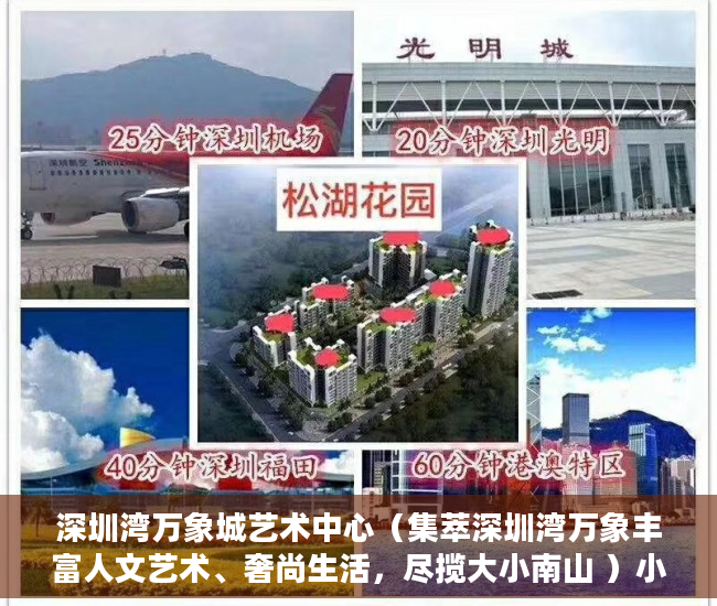 深圳湾万象城艺术中心（集萃深圳湾万象丰富人文艺术、奢尚生活，尽揽大小南山 ）小产权房开庭了多久下判决书，