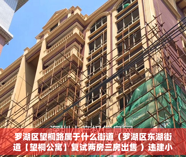 罗湖区望桐路属于什么街道（罗湖区东湖街道【望桐公寓】复试两房三房出售 ）违建小产权房过多久就不能拆了，