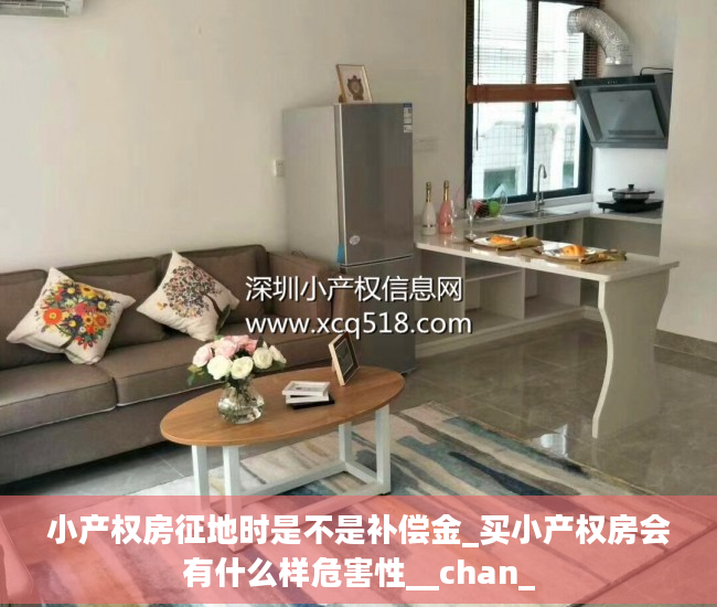 小产权房征地时是不是补偿金_买小产权房会有什么样危害性__chan_