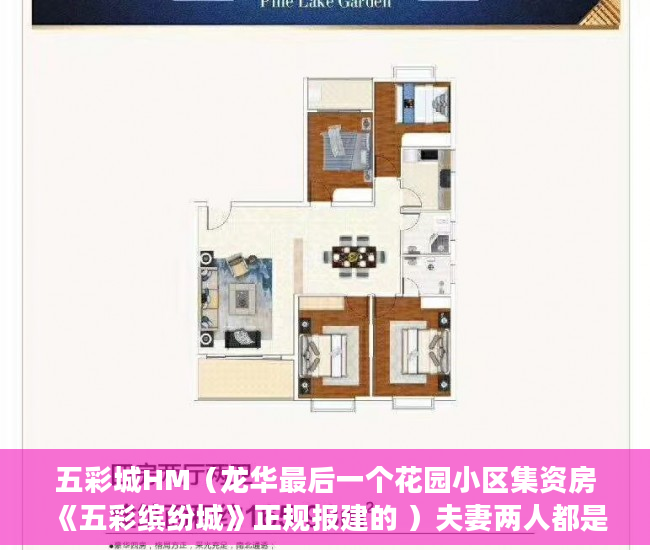 五彩城HM（龙华最后一个花园小区集资房《五彩缤纷城》正规报建的 ）夫妻两人都是小产权房怎么办，