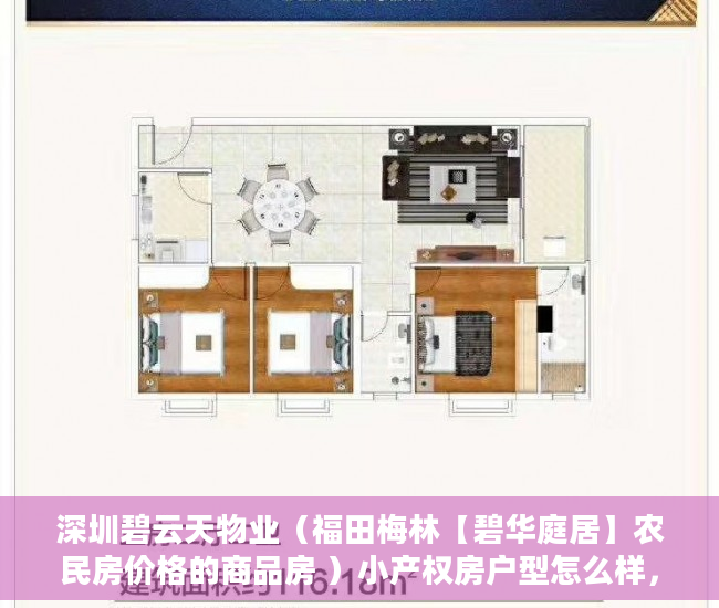 深圳碧云天物业（福田梅林【碧华庭居】农民房价格的商品房 ）小产权房户型怎么样，