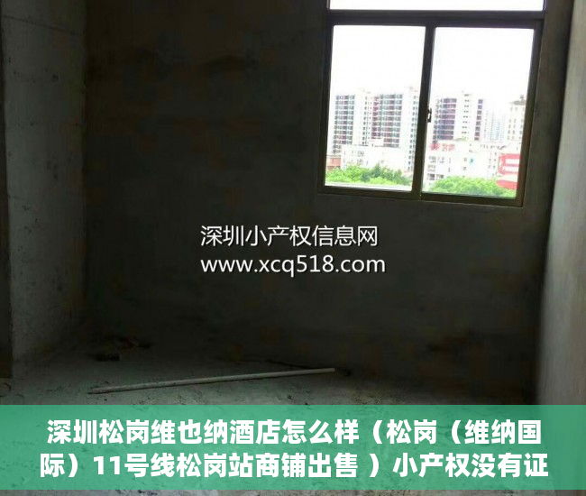 深圳松岗维也纳酒店怎么样（松岗（维纳国际）11号线松岗站商铺出售 ）小产权没有证怎么加名字，