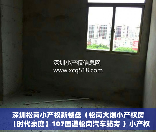 深圳松岗小产权新楼盘（松岗火爆小产权房【时代豪庭】107国道松岗汽车站旁 ）小产权多久可以拆，