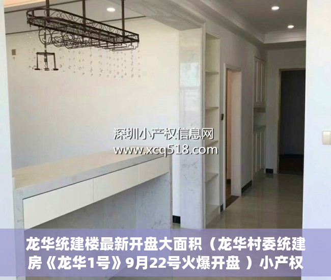 龙华统建楼最新开盘大面积（龙华村委统建房《龙华1号》9月22号火爆开盘 ）小产权店面协议书怎么签，