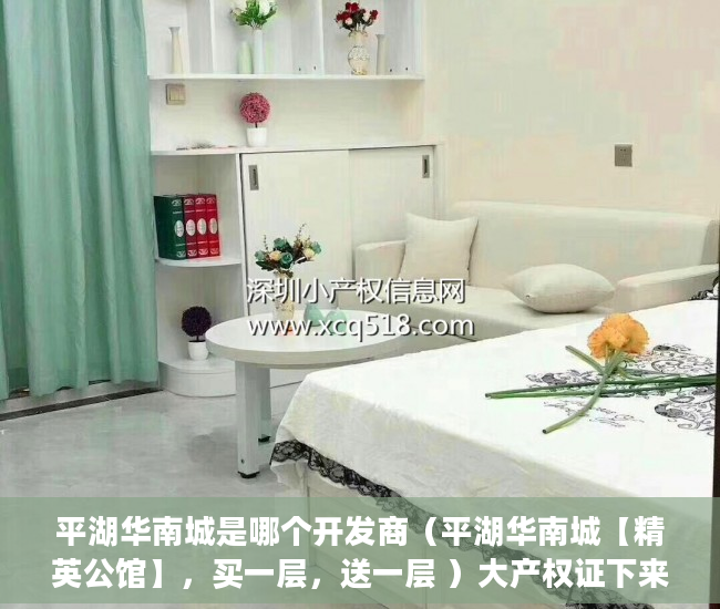 平湖华南城是哪个开发商（平湖华南城【精英公馆】，买一层，送一层 ）大产权证下来后多久能办小产权证，