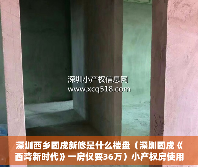 深圳西乡固戍新修是什么楼盘（深圳固戍《西湾新时代》一房仅要36万）小产权房使用年限是多久，