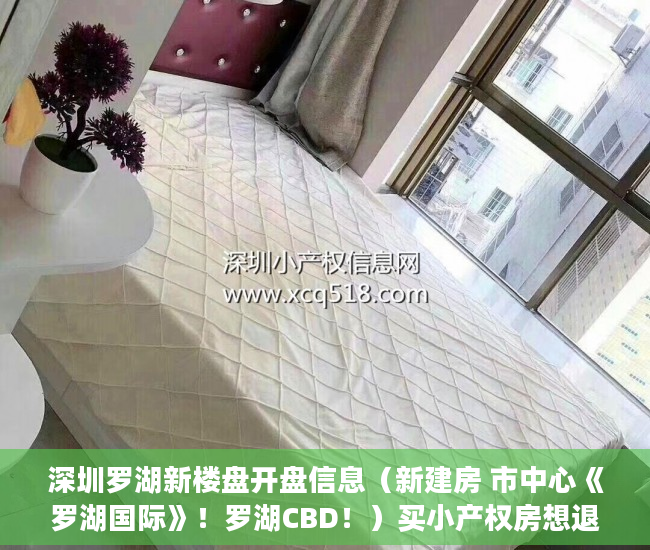 深圳罗湖新楼盘开盘信息（新建房 市中心《罗湖国际》！罗湖CBD！）买小产权房想退起诉的话得多久，