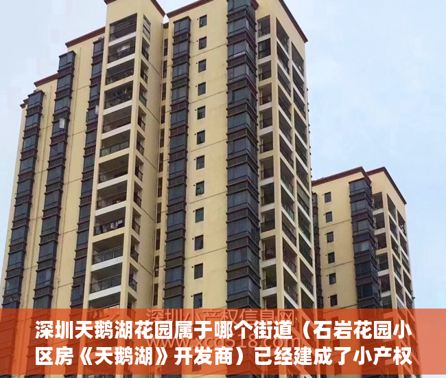 深圳天鹅湖花园属于哪个街道（石岩花园小区房《天鹅湖》开发商）已经建成了小产权房怎么办，