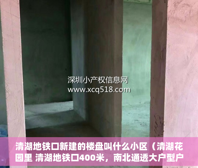 清湖地铁口新建的楼盘叫什么小区（清湖花园里 清湖地铁口400米，南北通透大户型户户大阳台 ）小产权loft贷款多久还清，
