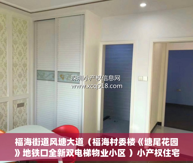福海街道风塘大道（福海村委楼《塘尾花园》地铁口全新双电梯物业小区 ）小产权住宅信息统计表怎么填，