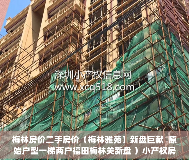 梅林房价二手房价（梅林雅苑】新盘巨献  原始户型一梯两户福田梅林关新盘 ）小产权房无能力偿还债务怎么办，