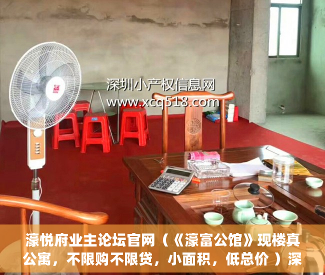 濠悦府业主论坛官网（《濠富公馆》现楼真公寓，不限购不限贷，小面积，低总价 ）深圳买小产权房住多久，