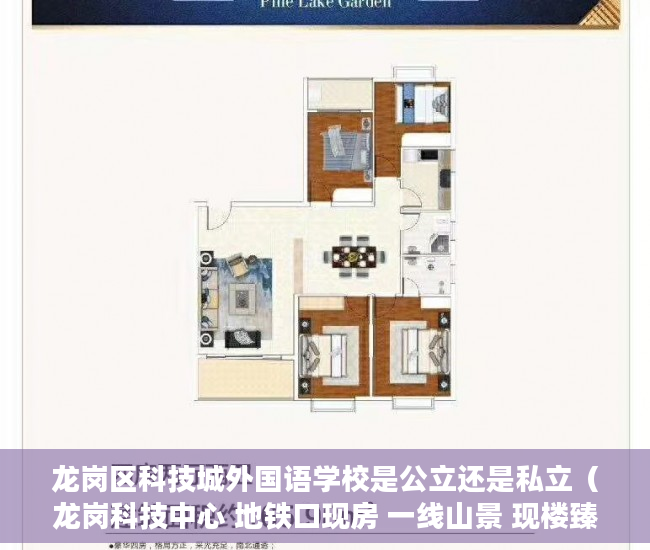 龙岗区科技城外国语学校是公立还是私立（龙岗科技中心 地铁口现房 一线山景 现楼臻稀综合体  ）小产权房怎么才知道有没有问题，