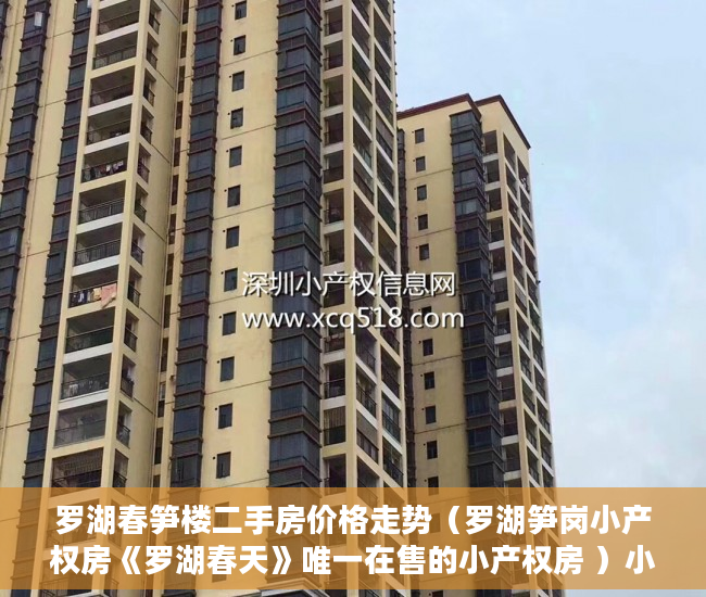 罗湖春笋楼二手房价格走势（罗湖笋岗小产权房《罗湖春天》唯一在售的小产权房 ）小产权换大产权需要多久，