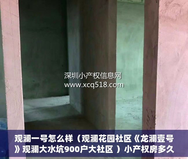 观澜一号怎么样（观澜花园社区《龙澜壹号》观澜大水坑900户大社区 ）小产权房多久能转售，