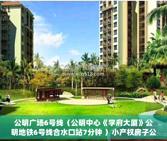 公明广场6号线（公明中心《学府大厦》公明地铁6号线合水口站7分钟 ）小产权房子公证要多久，