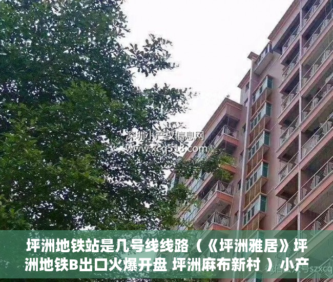 坪洲地铁站是几号线线路（《坪洲雅居》坪洲地铁B出口火爆开盘 坪洲麻布新村 ）小产权房到手多久能卖，