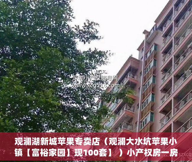 观澜湖新城苹果专卖店（观澜大水坑苹果小镇【富裕家园】现100套】 ）小产权房一房二卖起诉要多久，