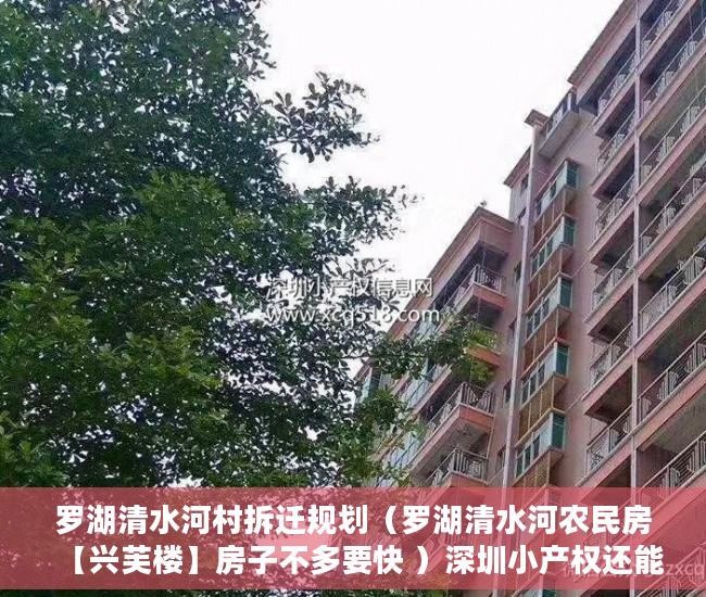 罗湖清水河村拆迁规划（罗湖清水河农民房【兴芙楼】房子不多要快 ）深圳小产权还能卖多久，