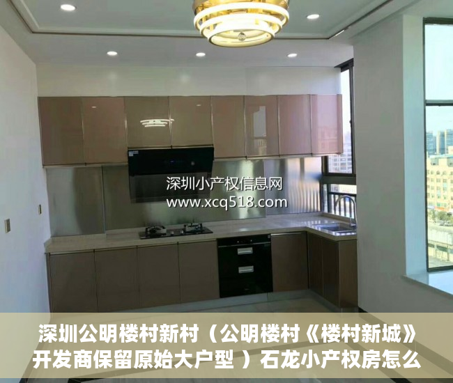 深圳公明楼村新村（公明楼村《楼村新城》开发商保留原始大户型 ）石龙小产权房怎么更名过户，