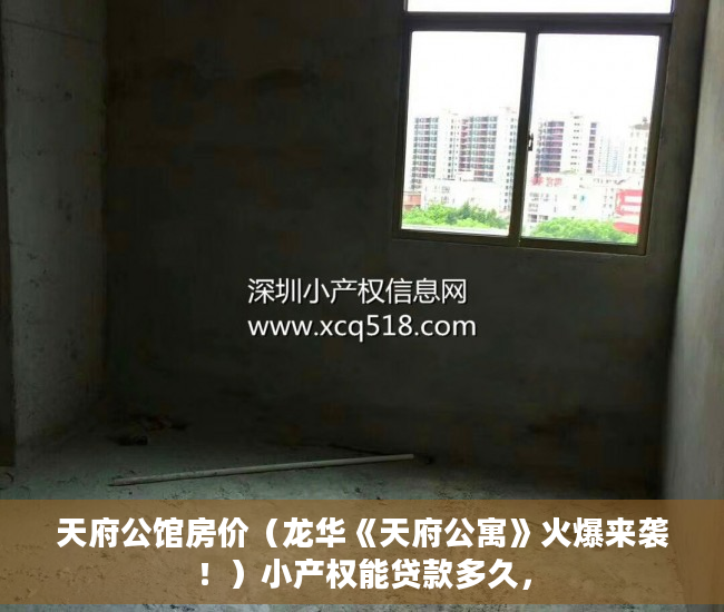 天府公馆房价（龙华《天府公寓》火爆来袭！）小产权能贷款多久，