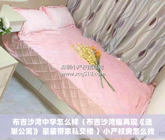 布吉沙湾中学怎么样（布吉沙湾耀再现《逸巢公寓》 豪装带家私交楼 ）小产权房怎么找，