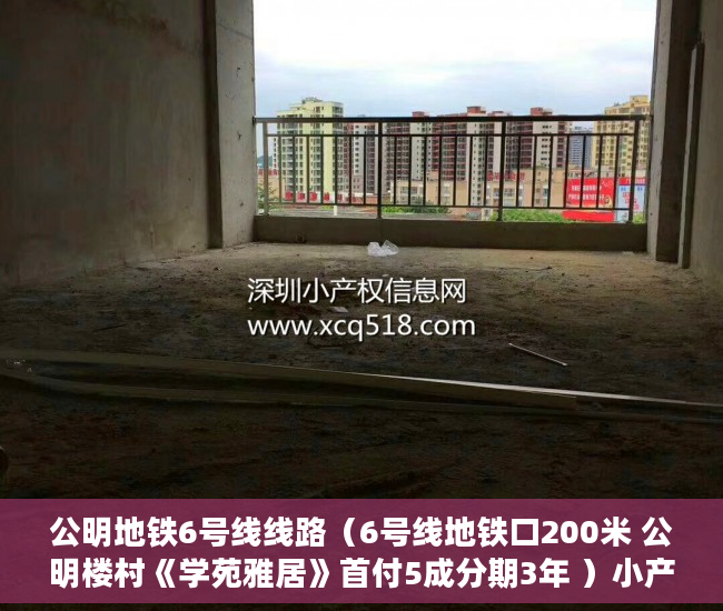 公明地铁6号线线路（6号线地铁口200米 公明楼村《学苑雅居》首付5成分期3年 ）小产权房价值怎么评估，