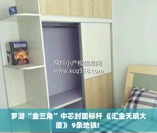 罗湖“金三角”中芯封面标杆 《汇金天琅大厦》 9条地铁! 