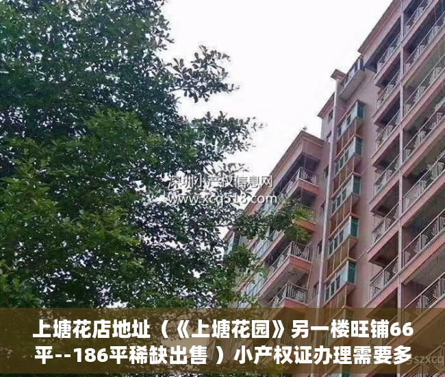 上塘花店地址（《上塘花园》另一楼旺铺66平--186平稀缺出售 ）小产权证办理需要多久，