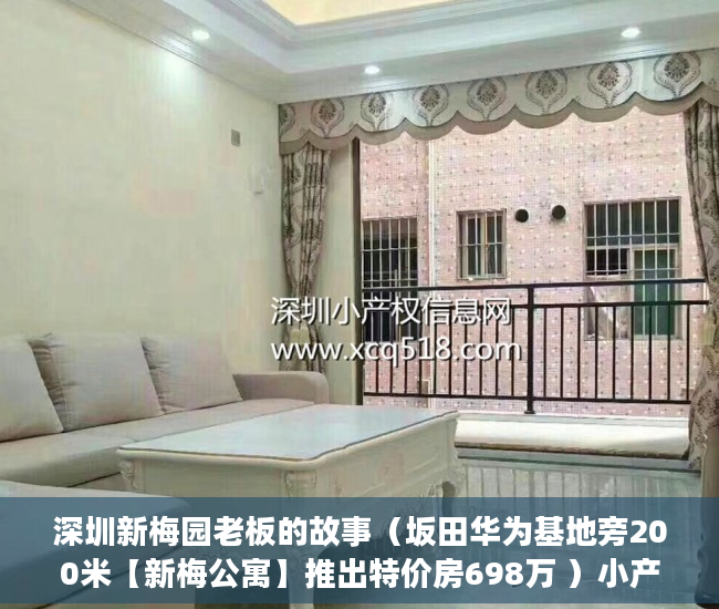 深圳新梅园老板的故事（坂田华为基地旁200米【新梅公寓】推出特价房698万 ）小产权继承换证多久办好，