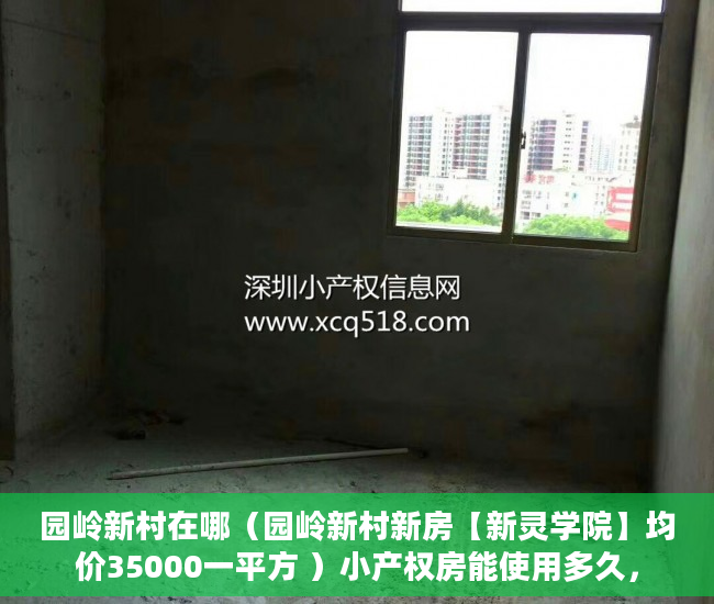 园岭新村在哪（园岭新村新房【新灵学院】均价35000一平方 ）小产权房能使用多久，