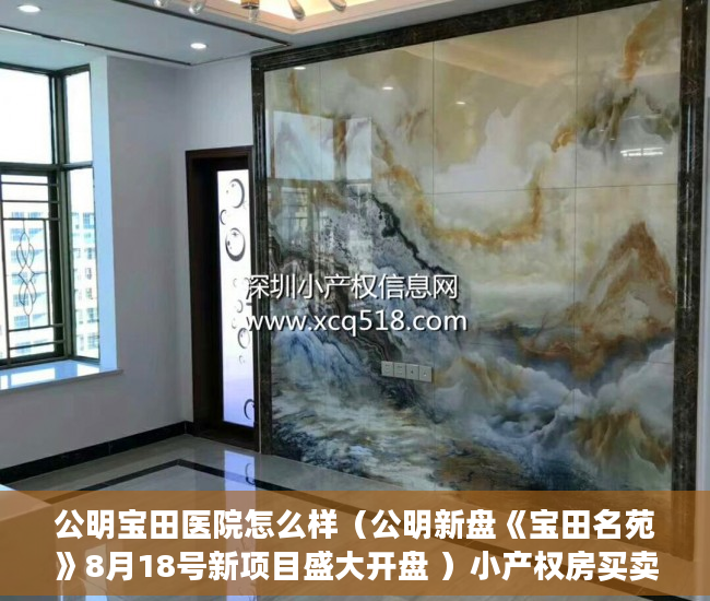 公明宝田医院怎么样（公明新盘《宝田名苑》8月18号新项目盛大开盘 ）小产权房买卖合同有效期多久，