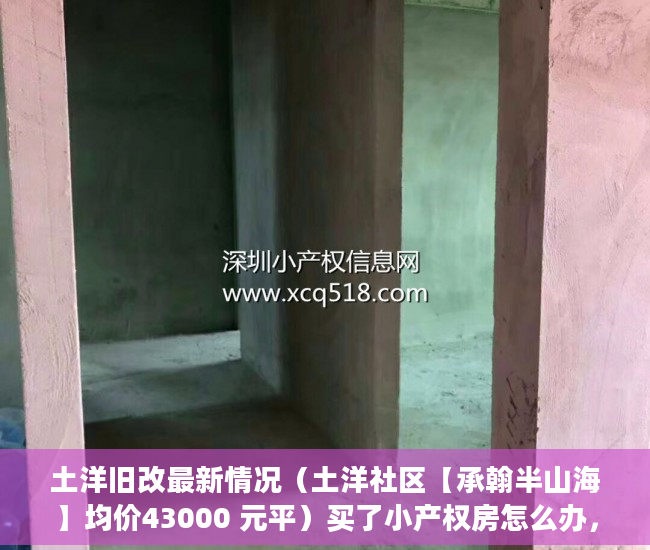 土洋旧改最新情况（土洋社区【承翰半山海】均价43000 元平）买了小产权房怎么办，