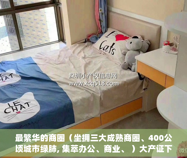 最繁华的商圈（坐拥三大成熟商圈、400公顷城市绿肺, 集萃办公、商业、 ）大产证下来小产权加速办理要多久，