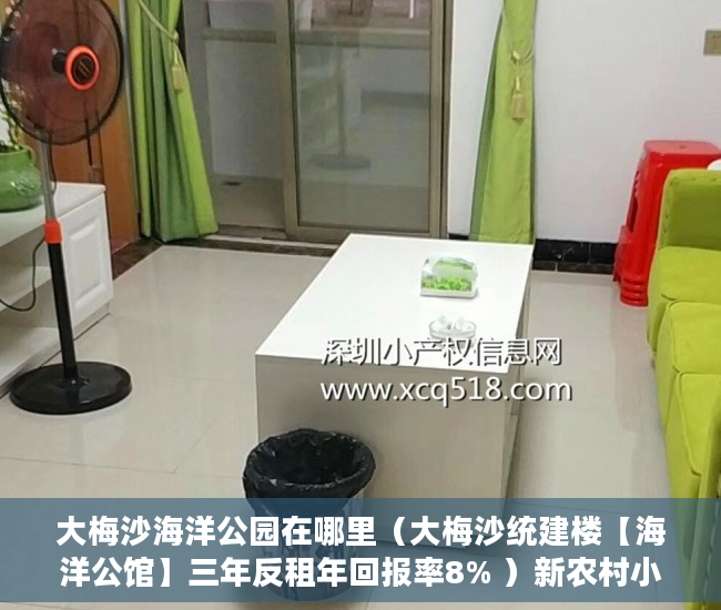 大梅沙海洋公园在哪里（大梅沙统建楼【海洋公馆】三年反租年回报率8% ）新农村小产权房能住多久，