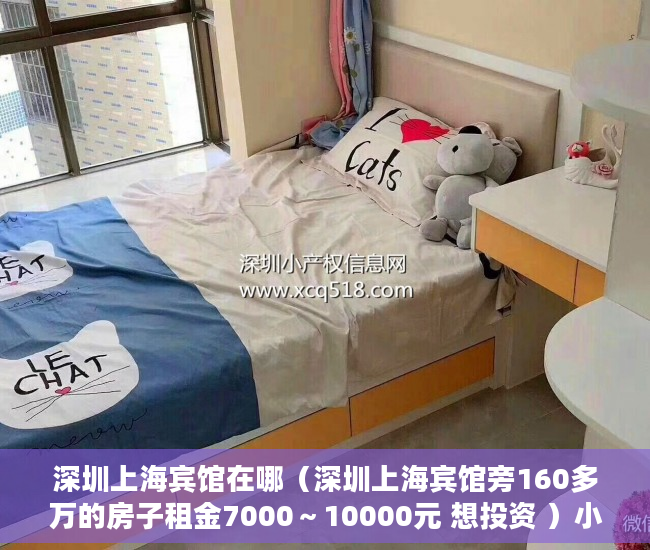 深圳上海宾馆在哪（深圳上海宾馆旁160多万的房子租金7000～10000元 想投资 ）小产权房的年限是多久，