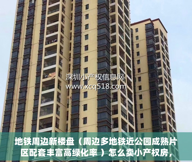 地铁周边新楼盘（周边多地铁近公园成熟片区配套丰富高绿化率 ）怎么卖小产权房，