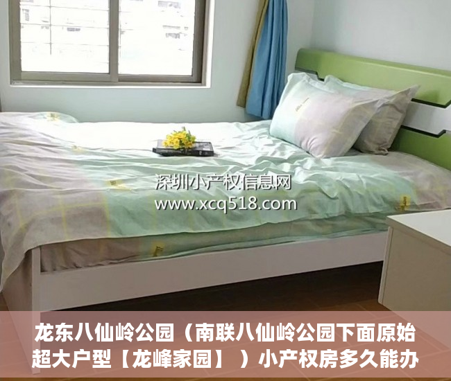 龙东八仙岭公园（南联八仙岭公园下面原始超大户型【龙峰家园】 ）小产权房多久能办房产证吗，