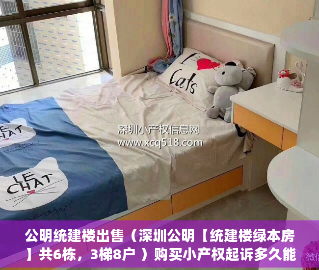 公明统建楼出售（深圳公明【统建楼绿本房】共6栋，3梯8户 ）购买小产权起诉多久能退款，