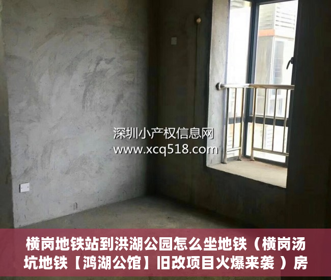 横岗地铁站到洪湖公园怎么坐地铁（横岗汤坑地铁【鸿湖公馆】旧改项目火爆来袭 ）房子是大产权和小产权怎么查，