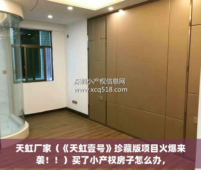 天虹厂家（《天虹壹号》珍藏版项目火爆来袭！！）买了小产权房子怎么办，