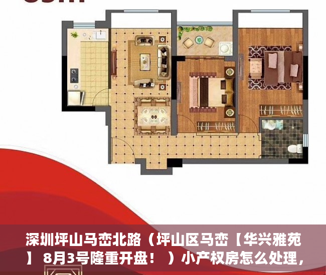 深圳坪山马峦北路（坪山区马峦【华兴雅苑】 8月3号隆重开盘！ ）小产权房怎么处理，