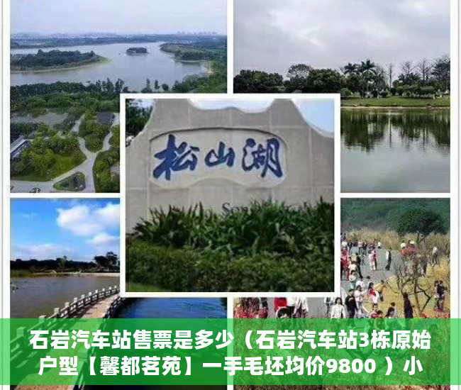 石岩汽车站售票是多少（石岩汽车站3栋原始户型【馨都茗苑】一手毛坯均价9800 ）小产权抵押能贷多久，