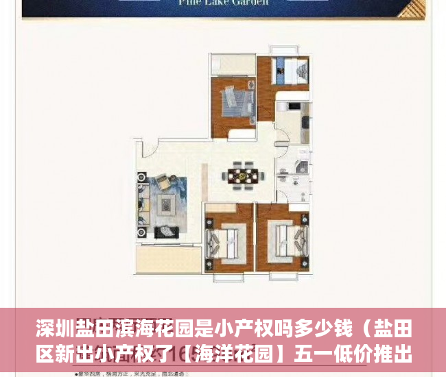 深圳盐田滨海花园是小产权吗多少钱（盐田区新出小产权了【海洋花园】五一低价推出 ）小产权住多久，